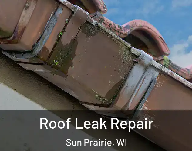  Roof Leak Repair Sun Prairie, WI