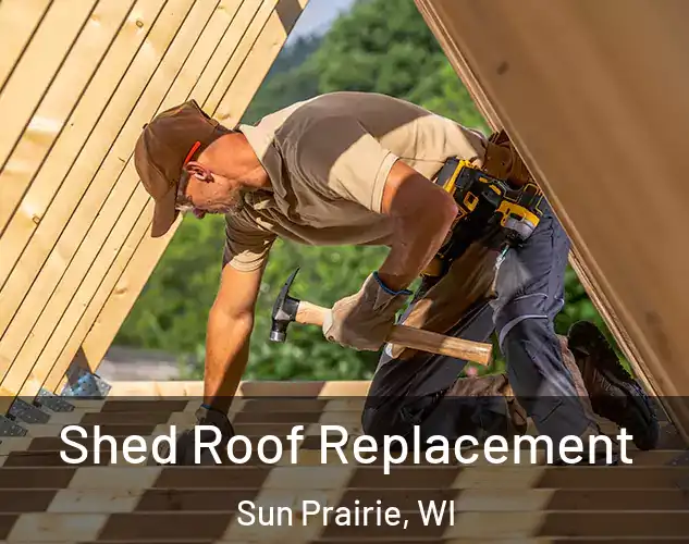  Shed Roof Replacement Sun Prairie, WI
